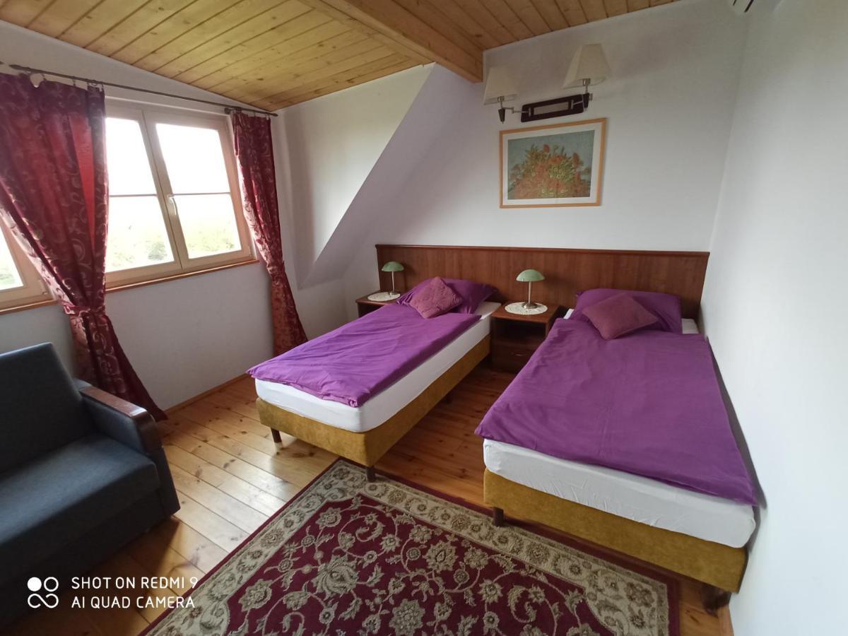 Dwor Strzyzew Bed and Breakfast Zelazowa Wola Εξωτερικό φωτογραφία