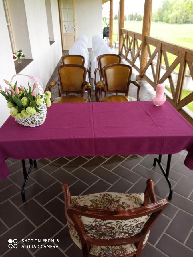 Dwor Strzyzew Bed and Breakfast Zelazowa Wola Εξωτερικό φωτογραφία